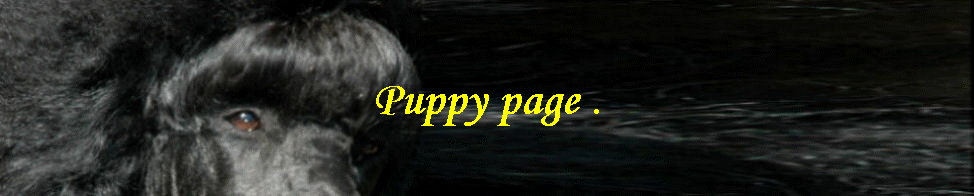 Puppy page .