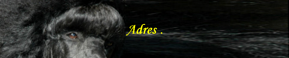 Adres .