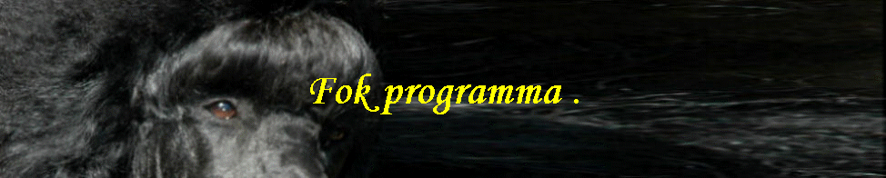 Fok programma .