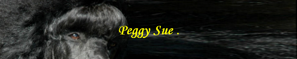 Peggy Sue .