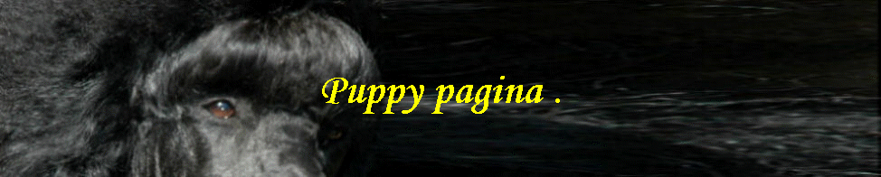 Puppy pagina .