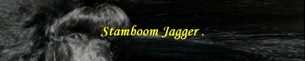 Stamboom Jagger .