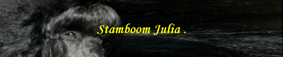 Stamboom Julia .