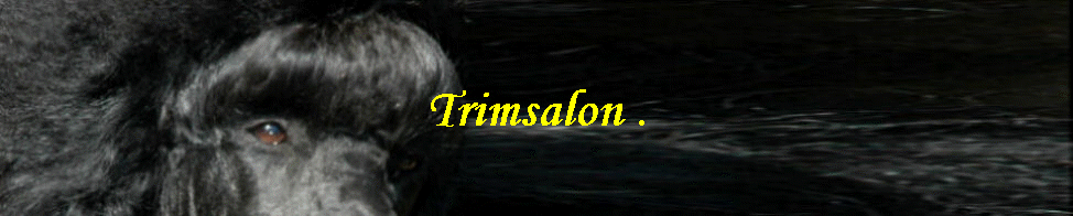 Trimsalon .